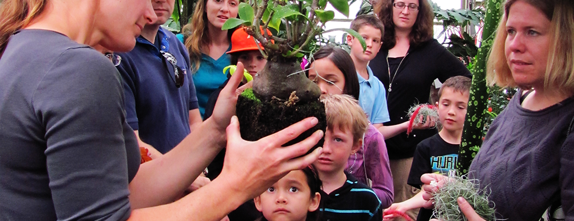 Students and children gathered around a plant in a nursery