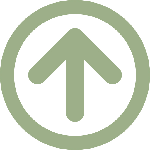 icon of an arrow pointing up