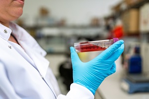 "person in a lab holding a red chemical"