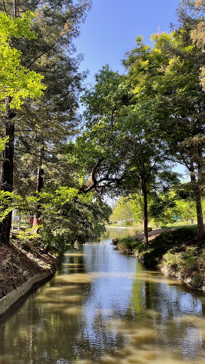 Arboretum waterway