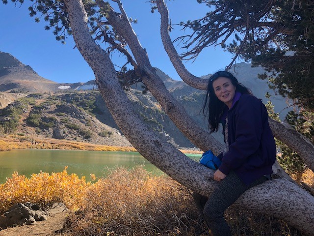 Dee sitting in a tree with a lake and hills in the background