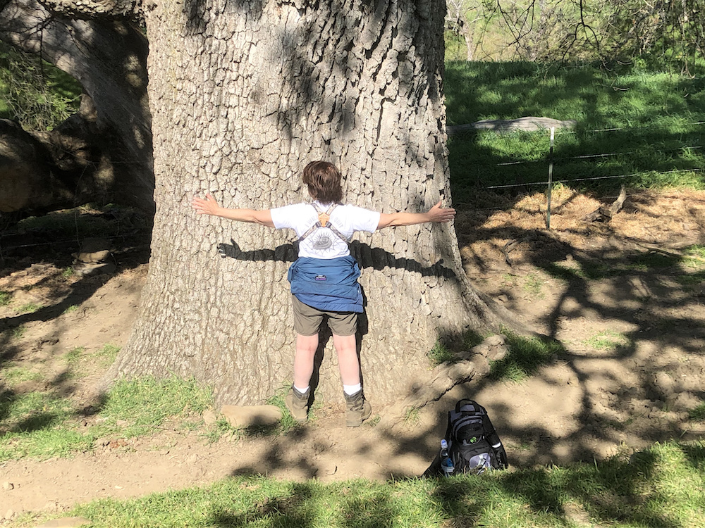 Person stands in front of a large oak tree with their arms outstretched