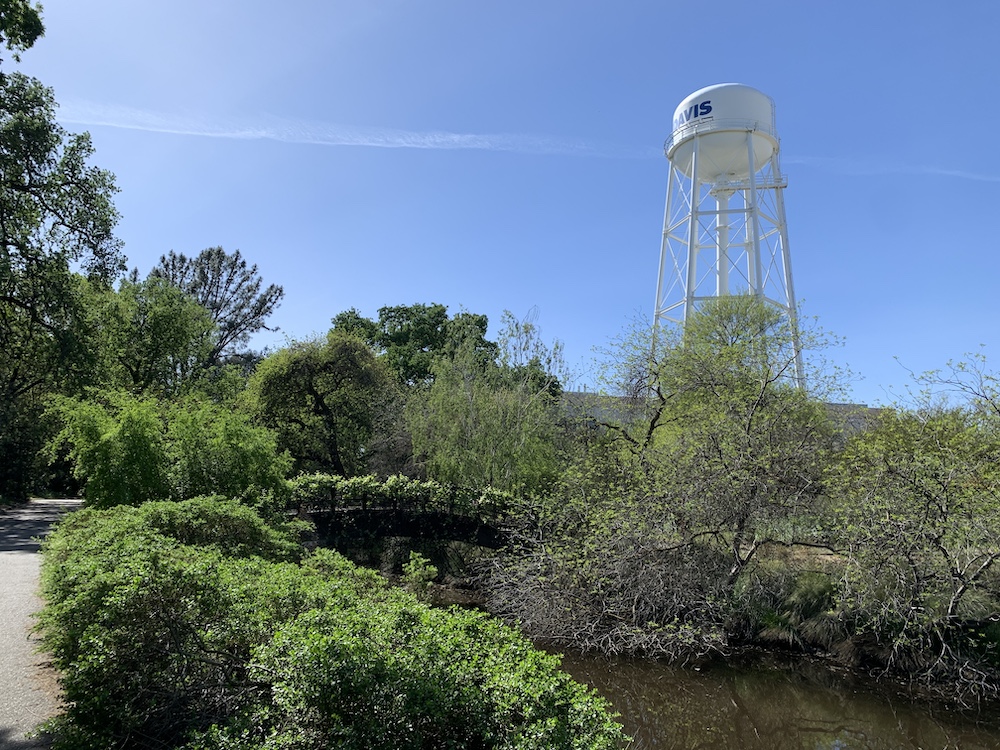 UC Davis water tower over the Arboretum waterway