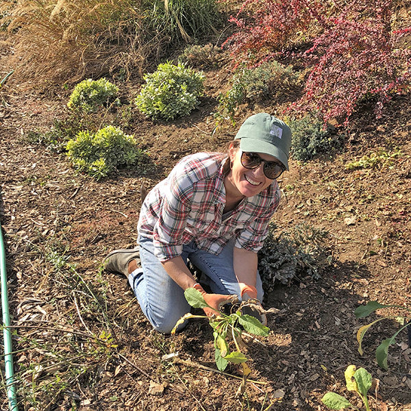 Image of Stacey Parker gardening in the Arboretum.