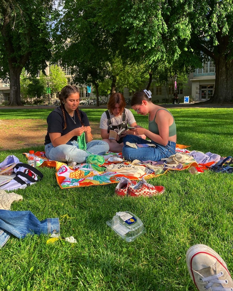 A group of people sitting on a picnic blanket on the grass, reading and knitting
