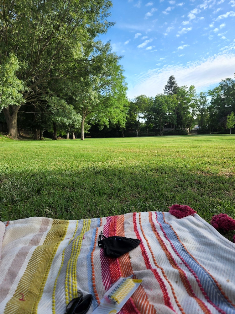 Blanket laid out on a grassy field