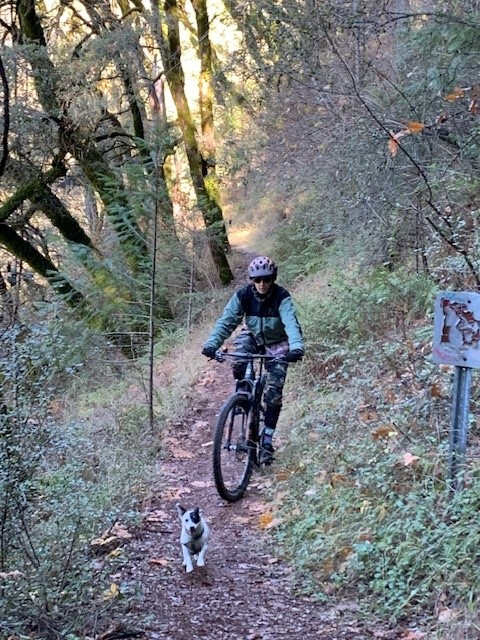 Person mountain biking on a wooded trail with a dog
