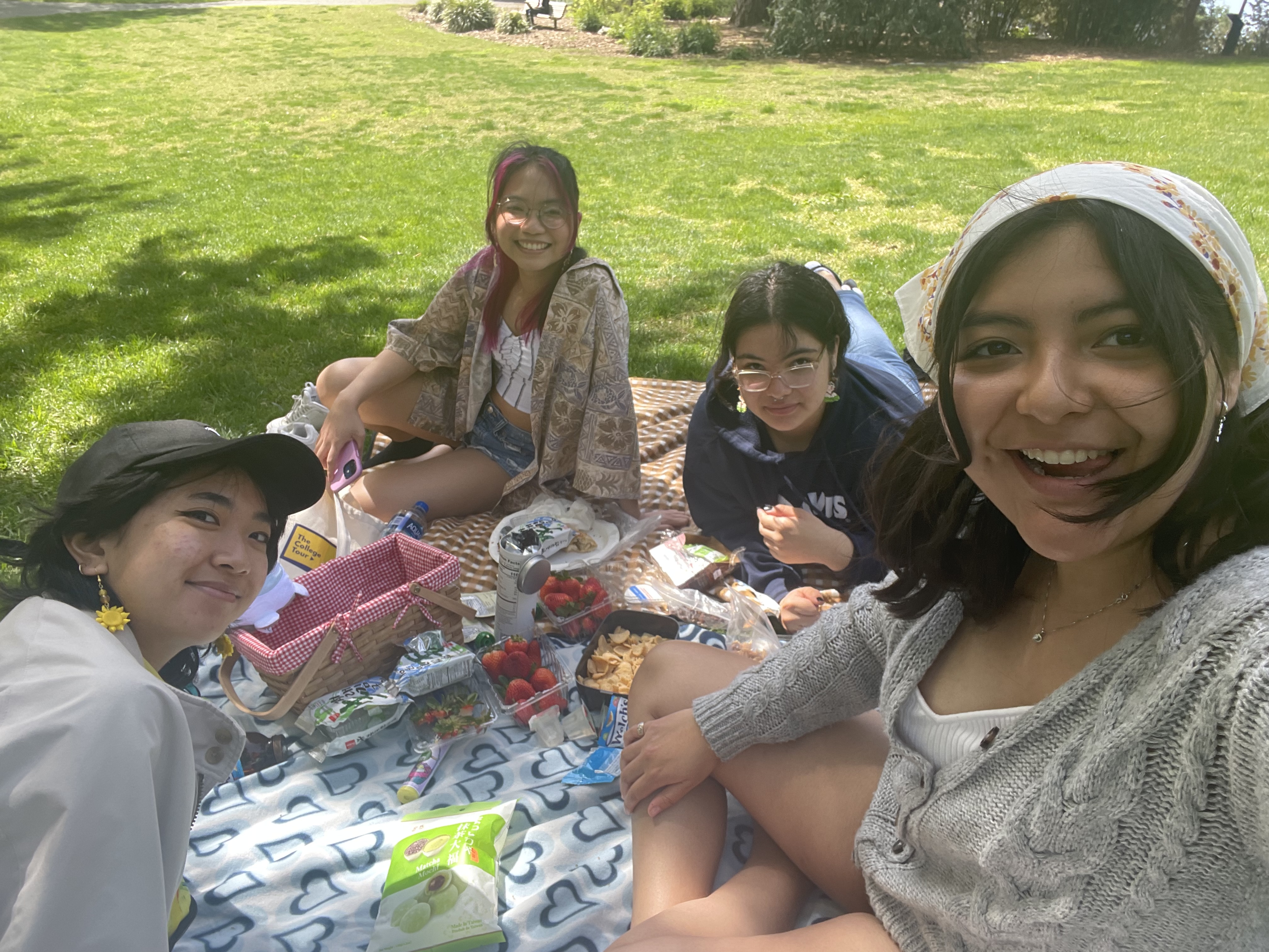 Four people enjoying a picnic in a park