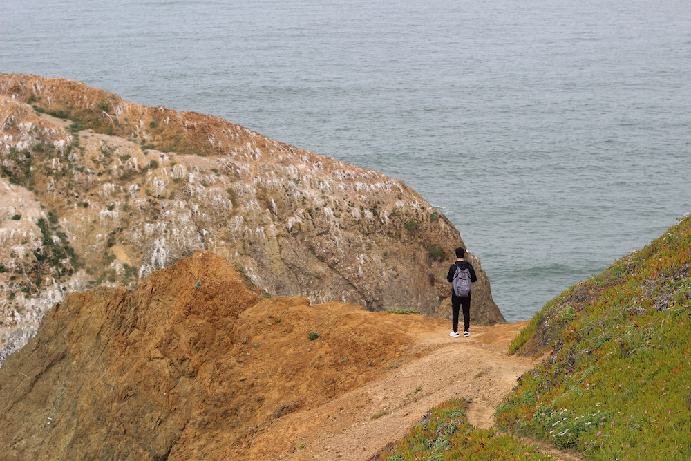 Person standing on a cliff overlooking the ocean