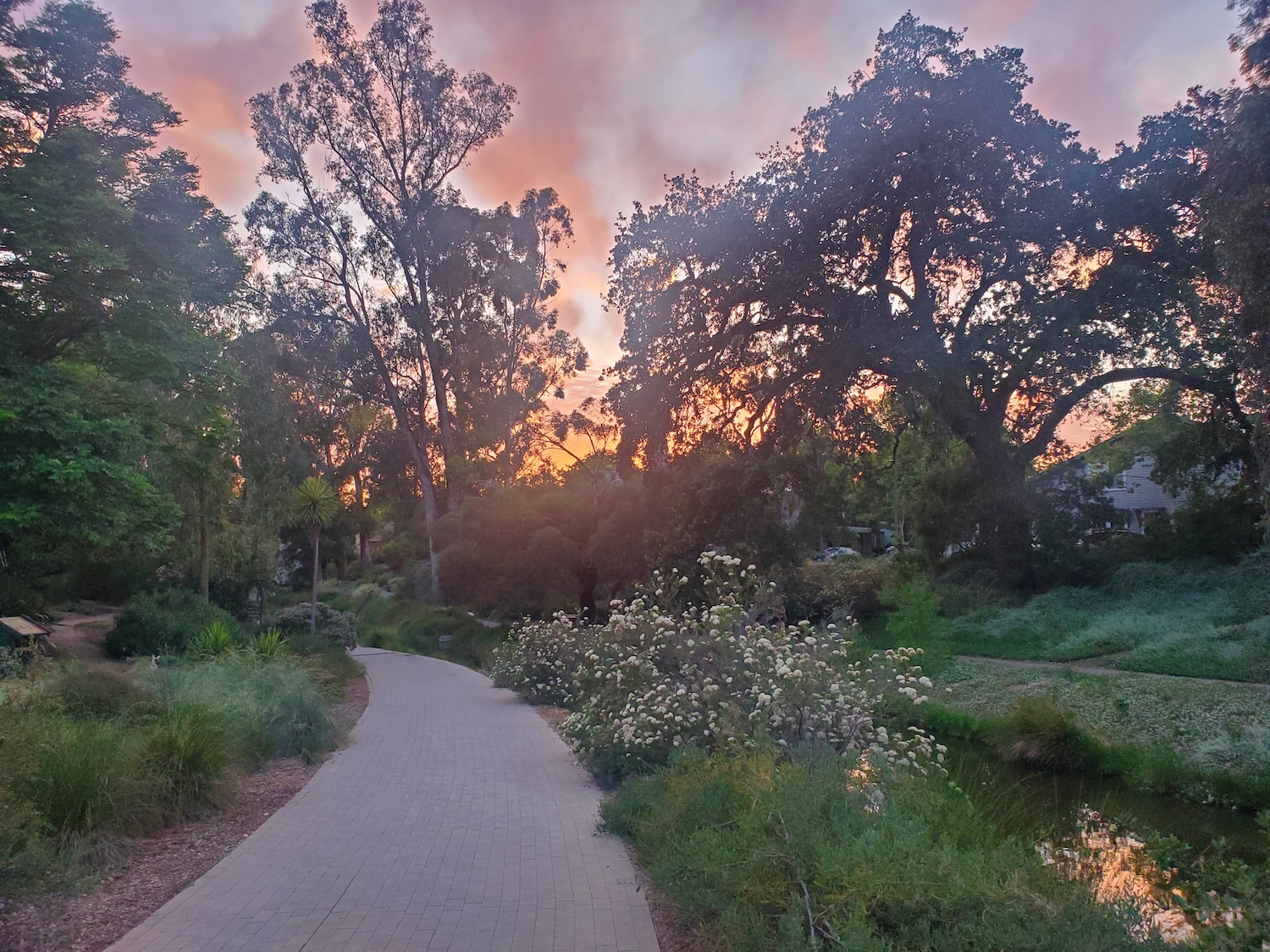 Arboretum at sunrise