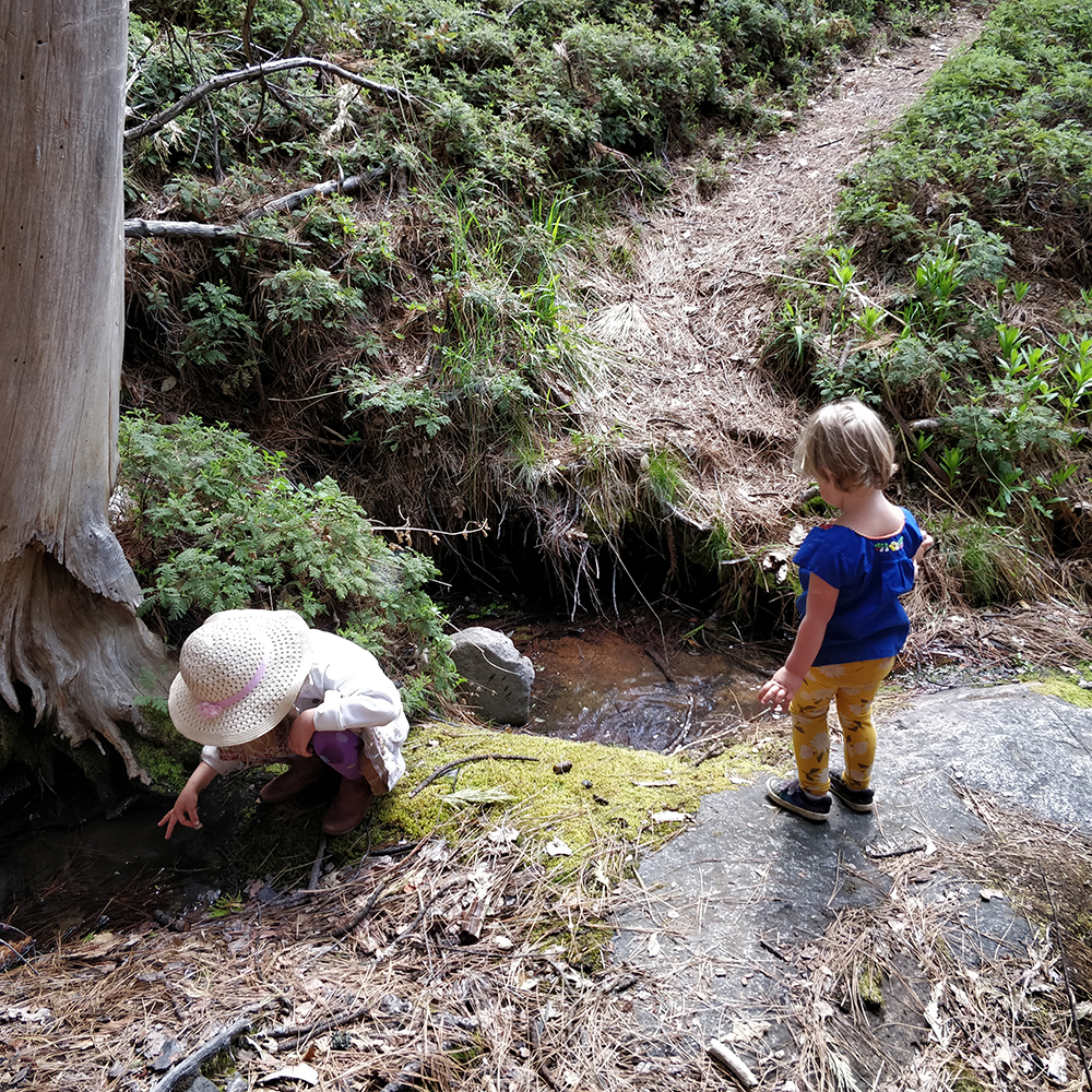 Two kids by a creek