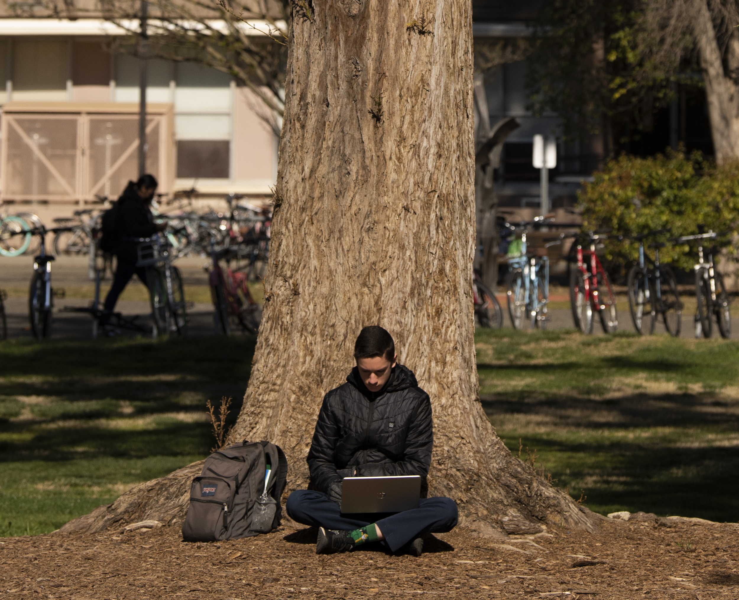 Student leans against tree using laptop