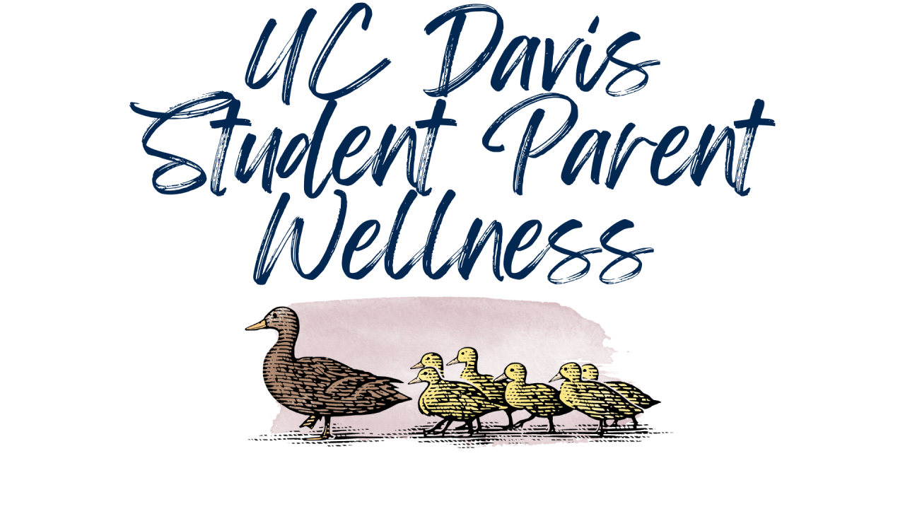 Student wellness program logo 