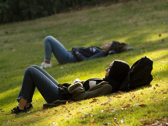 People laying in grass in the Arboretum