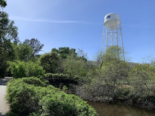 uc davis water tower and greenery