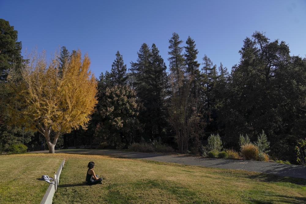 person sitting in the Arboretum