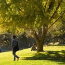 Student walking in the arboretum