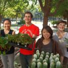 four edible landscaping interns pose with flats of plant starts in their hands