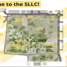 Layout of SLLC