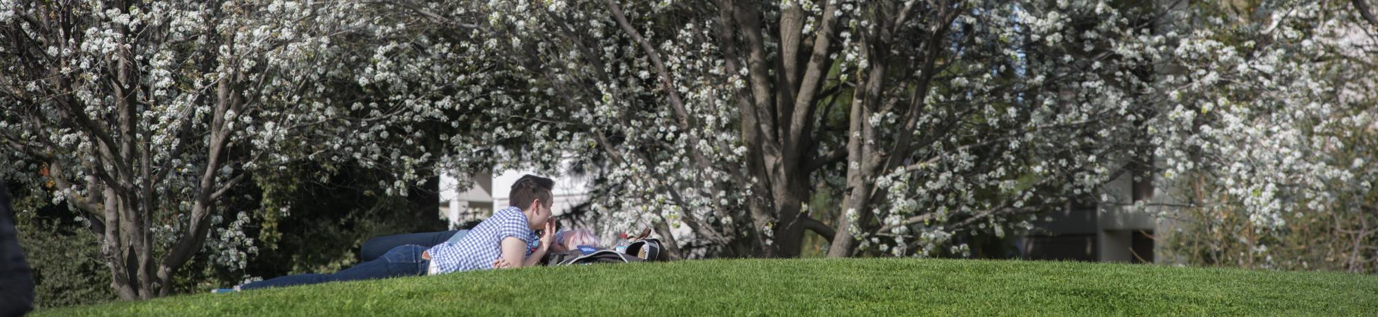person laying on their stomach on a grassy hill with a white blossom tree in the background
